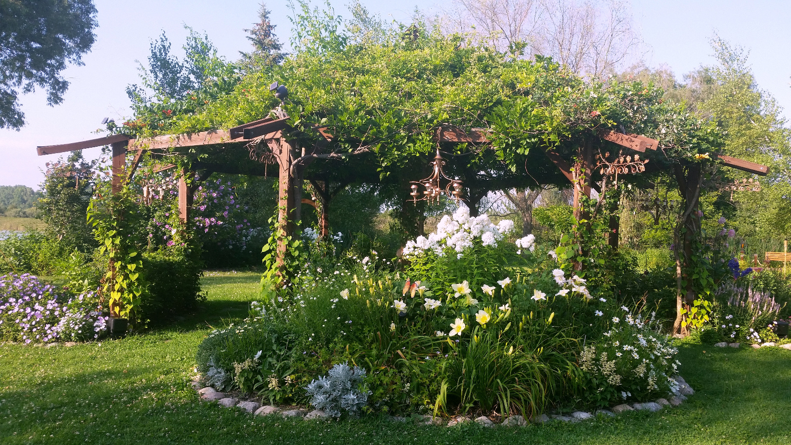 Delphinium, Phlox, Daylily and Dahlia with red Major Wheeler Honeysuckle climbing the post in the background